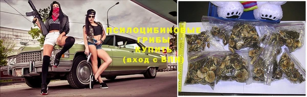 стафф Семилуки
