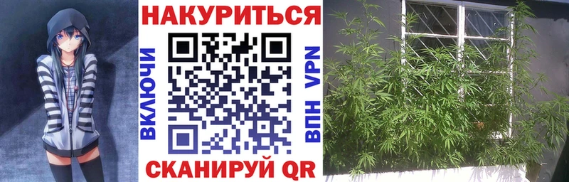 МАРИХУАНА сатива Мурино